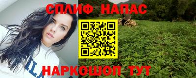 скорость Дубна