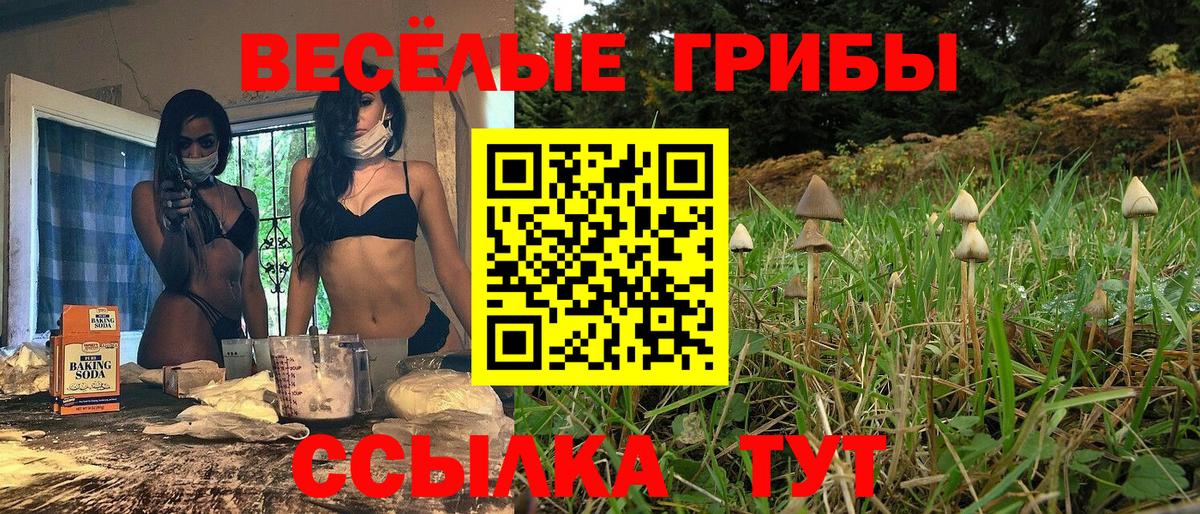 Псилоцибиновые грибы Psilocybe  Псилоцибиновые грибы мухоморы  Вход с VPN  Нефтеюганск 